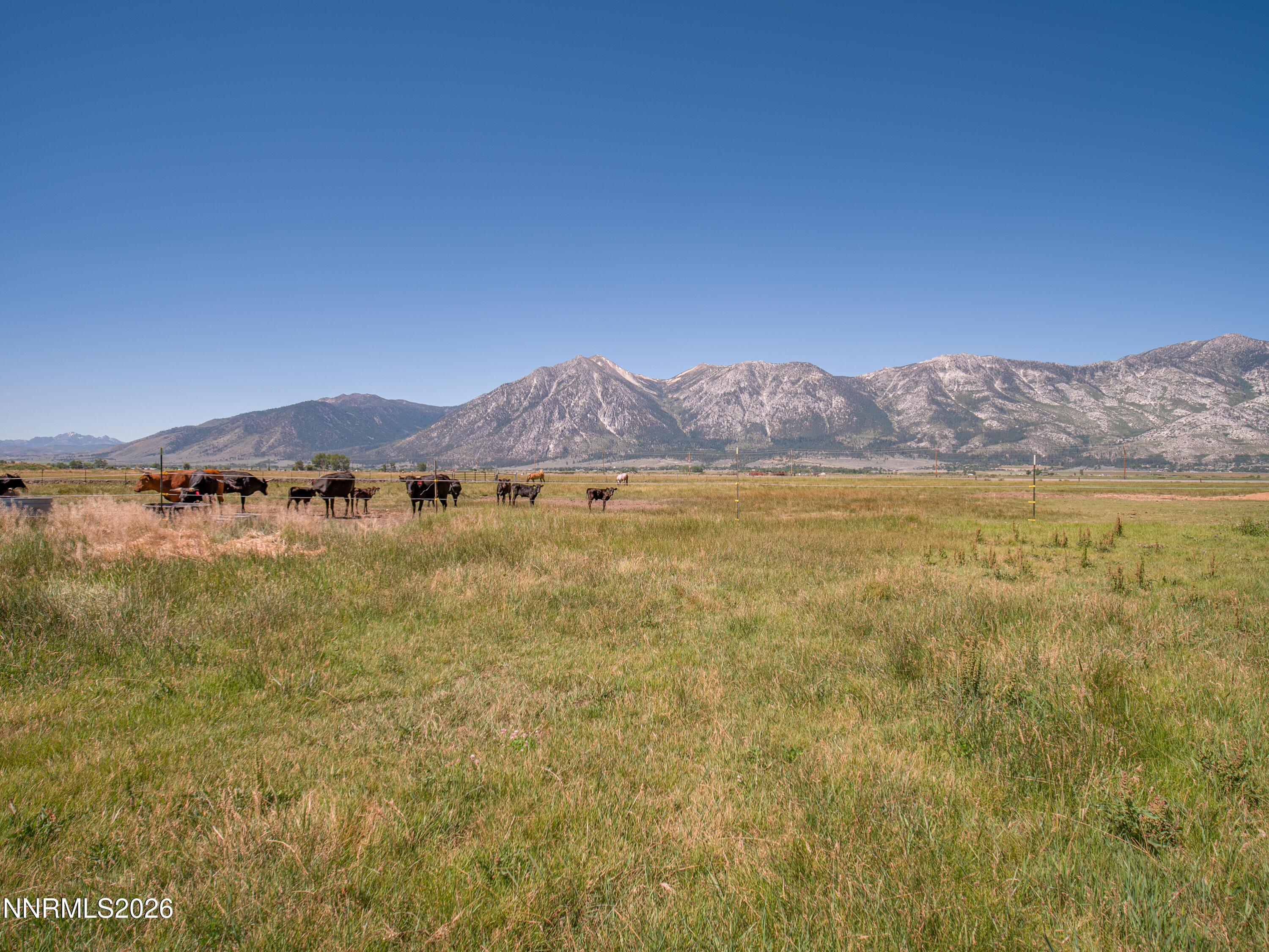 1225 Highway 88 Gardnerville, NV 89460 - Photo 11 of 25 Photo-4