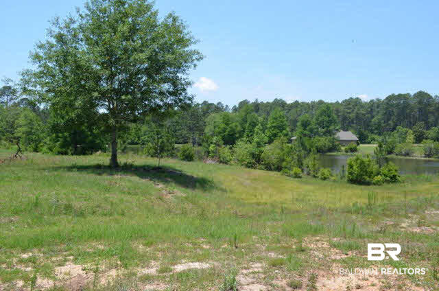 0 Biscayne Brook Lane Elberta, AL 36530 - Photo 3 of 10