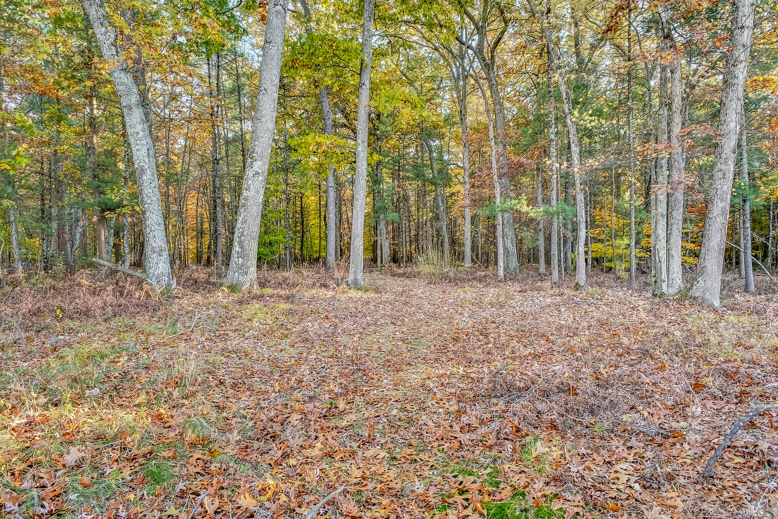 4735 West Bard Road Whitehall, MI 49461 - Photo 13 of 42 4735 W Bard-42