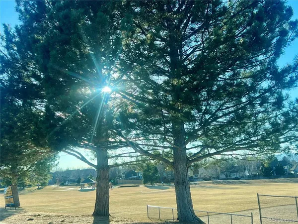 a view of a field