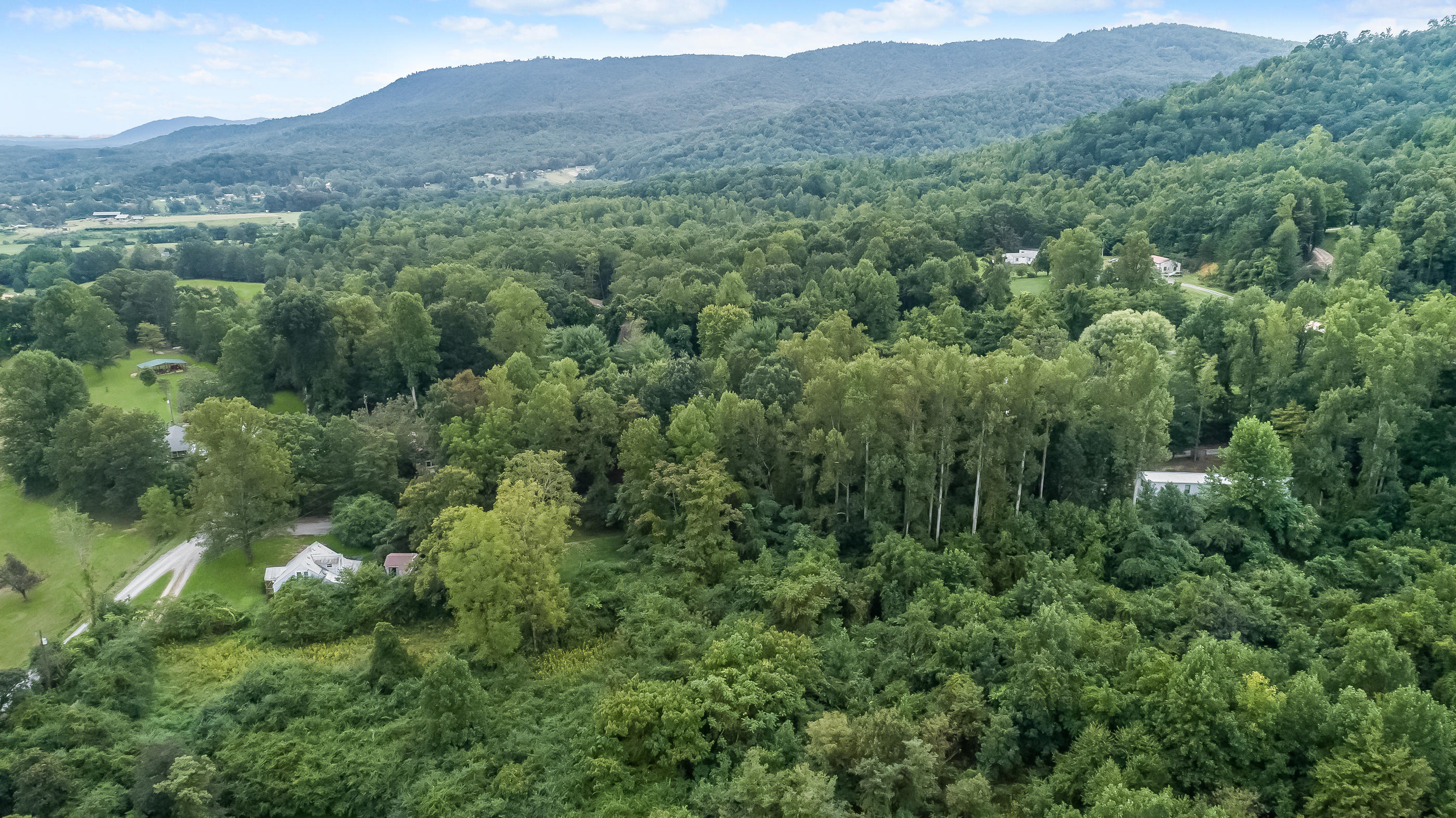 1021 Tervon Lane Blue Ridge, VA 24064 - Photo 7 of 25 DJI_0009