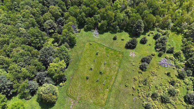 a view of a garden with an ocean