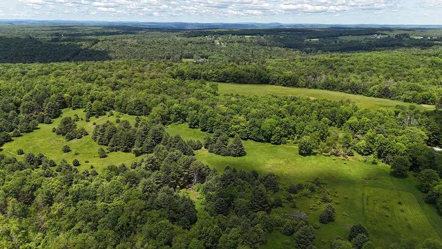 a view of a green field
