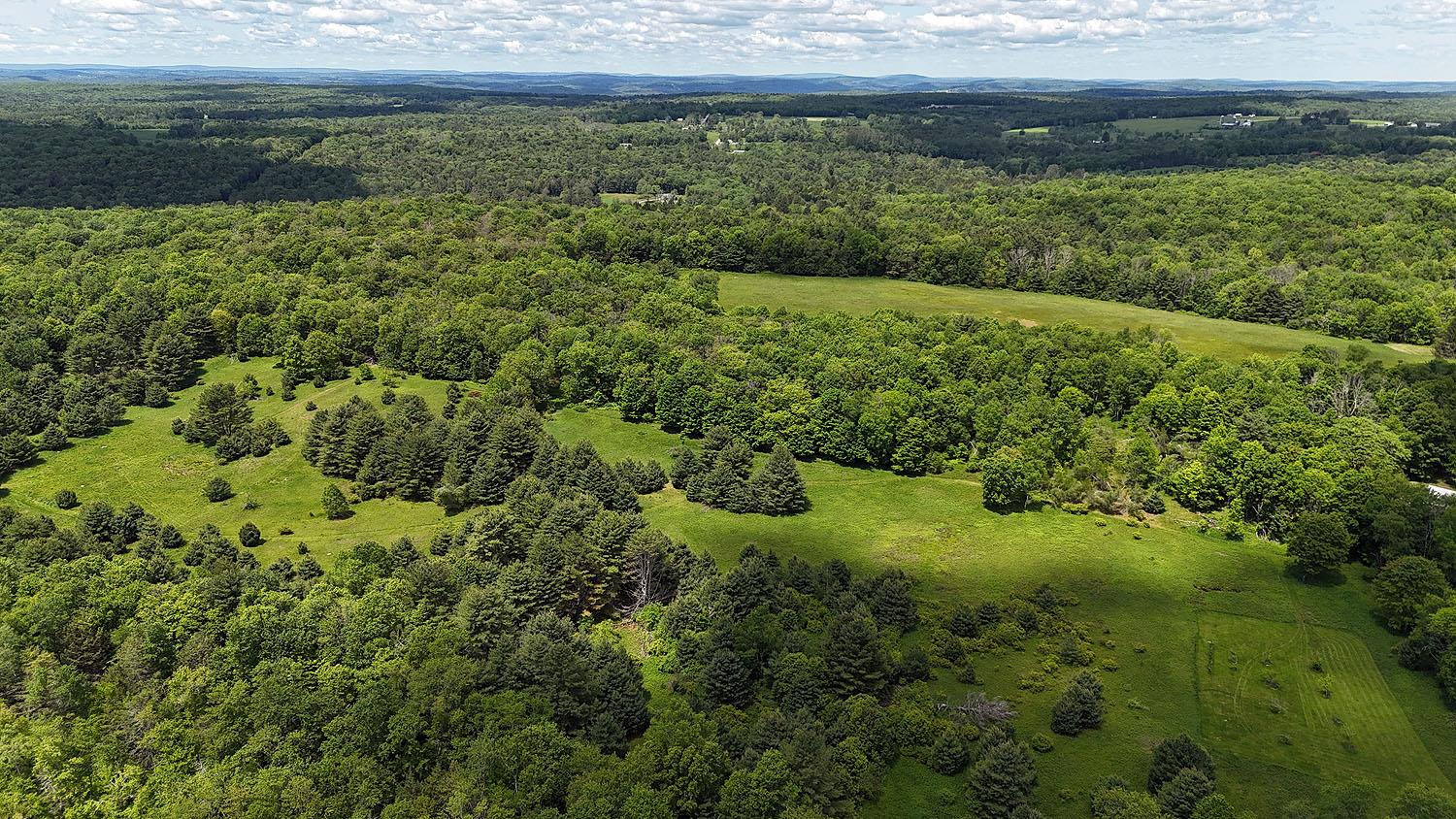 342 Bernas Road Cochecton, NY 12726 - Photo 2 of 48 a view of a green field
