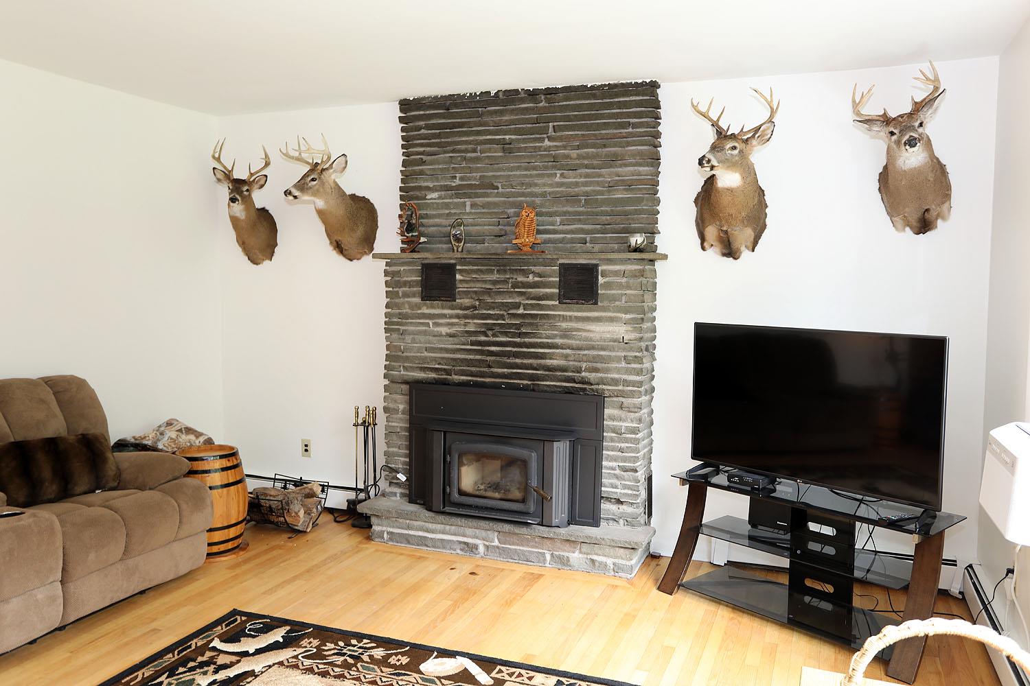342 Bernas Road Cochecton, NY 12726 - Photo 27 of 48 a living room with furniture and a flat screen tv