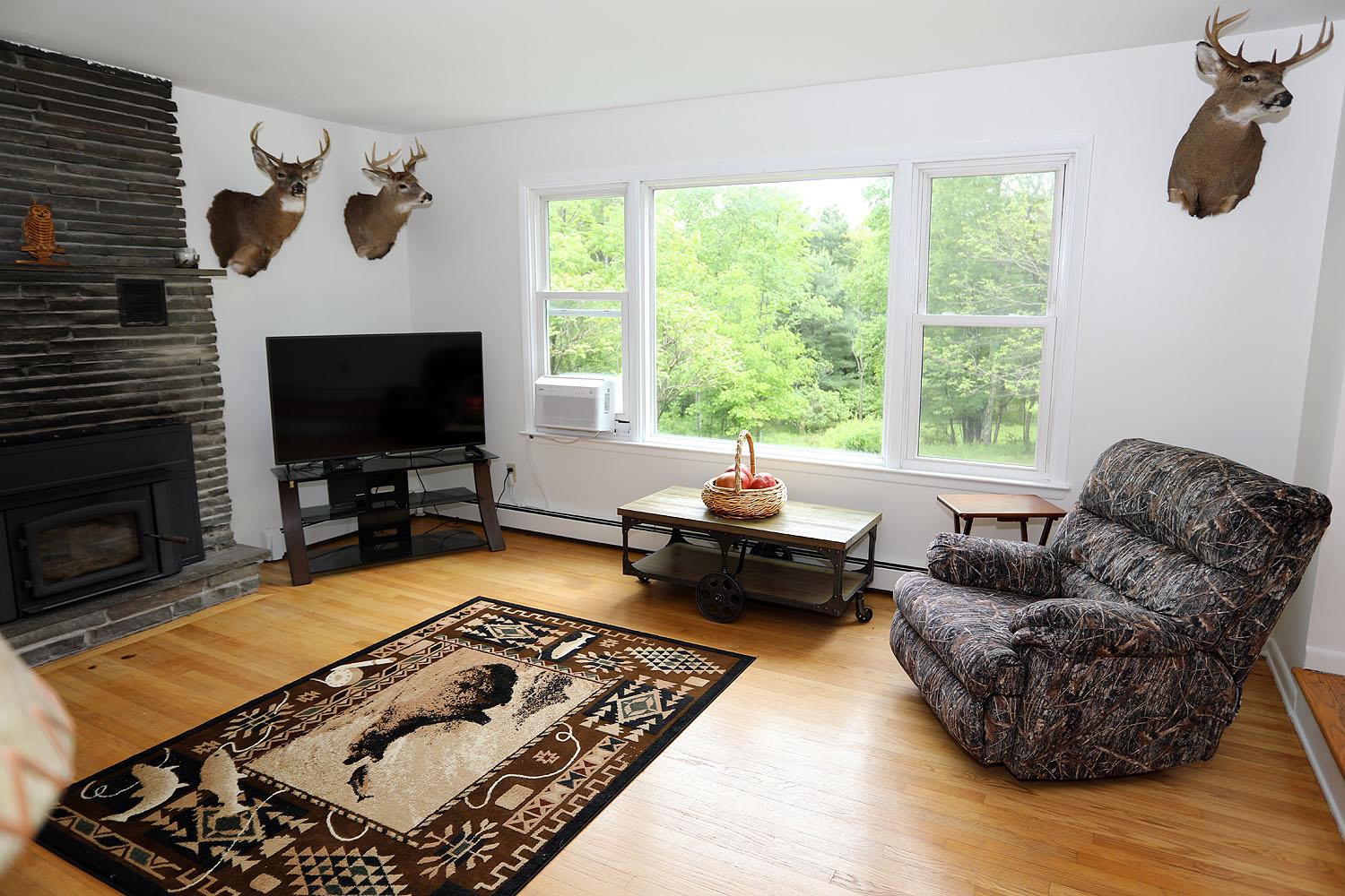 342 Bernas Road Cochecton, NY 12726 - Photo 28 of 48 a living room with furniture and a flat screen tv