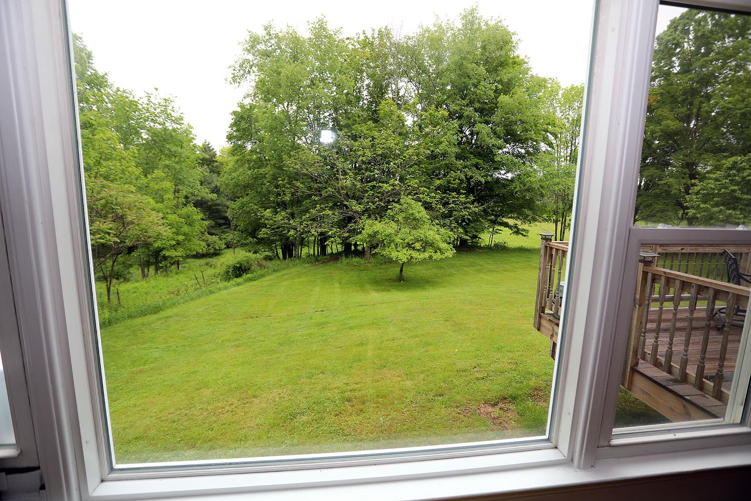 342 Bernas Road Cochecton, NY 12726 - Photo 29 of 48 a view of a window