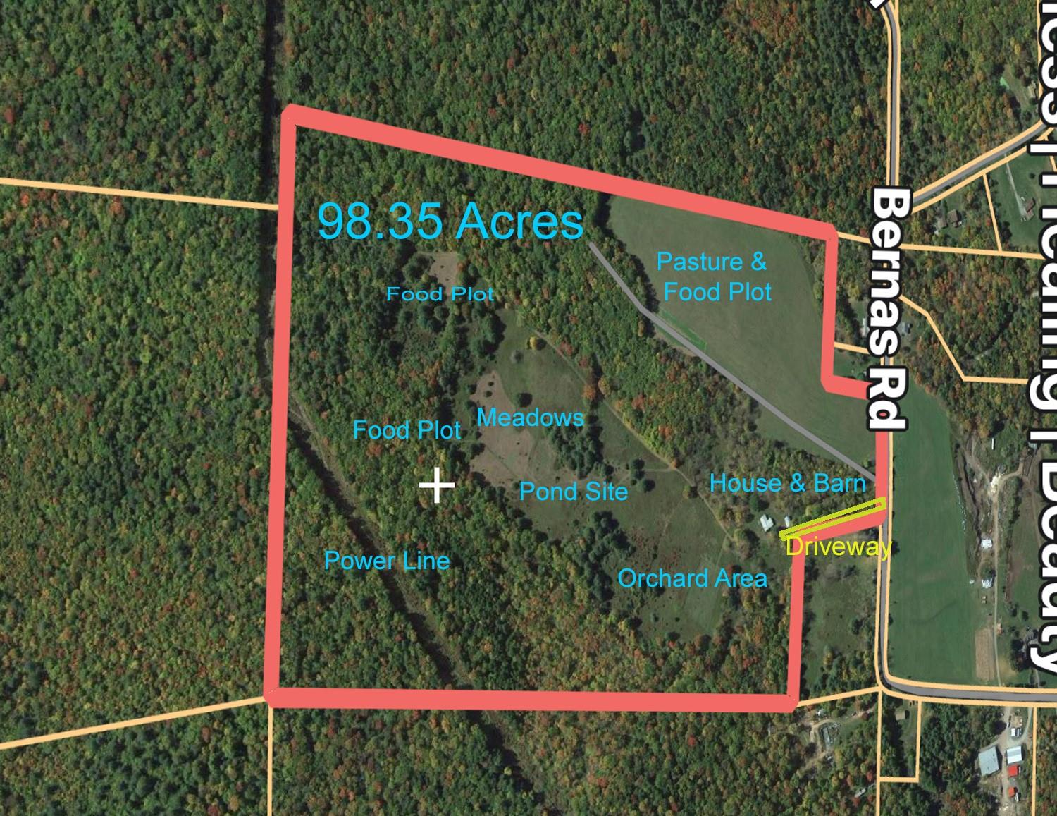 342 Bernas Road Cochecton, NY 12726 - Photo 3 of 48 a view of a yard with a street sign