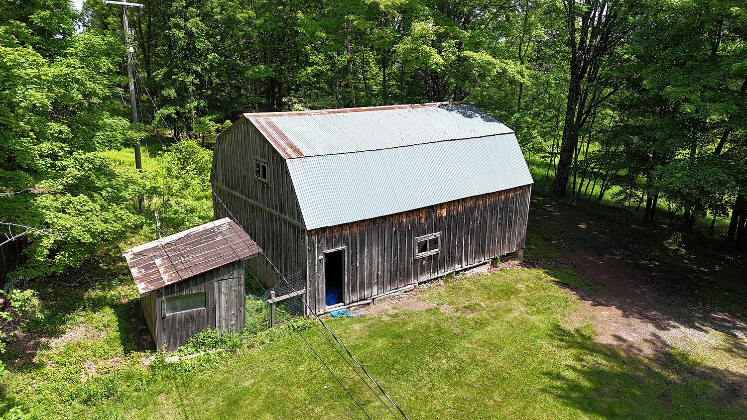 342 Bernas Road Cochecton, NY 12726 - Photo 45 of 48 a view of a house with a yard and large tree