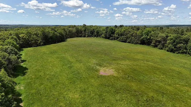 a view of a big yard with large trees