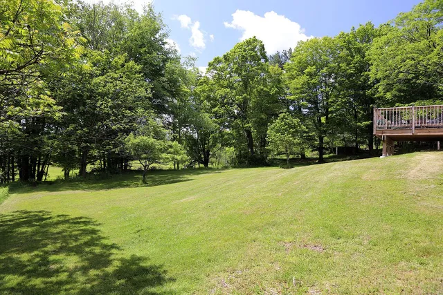 a view of a large yard with large trees