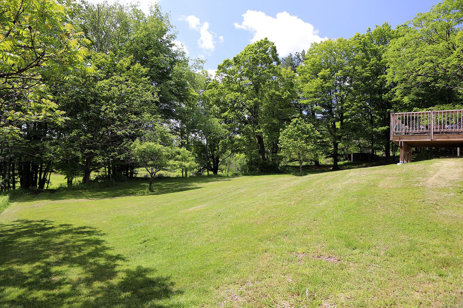 342 Bernas Road Cochecton, NY 12726 - Photo 9 of 48 a view of a large yard with large trees