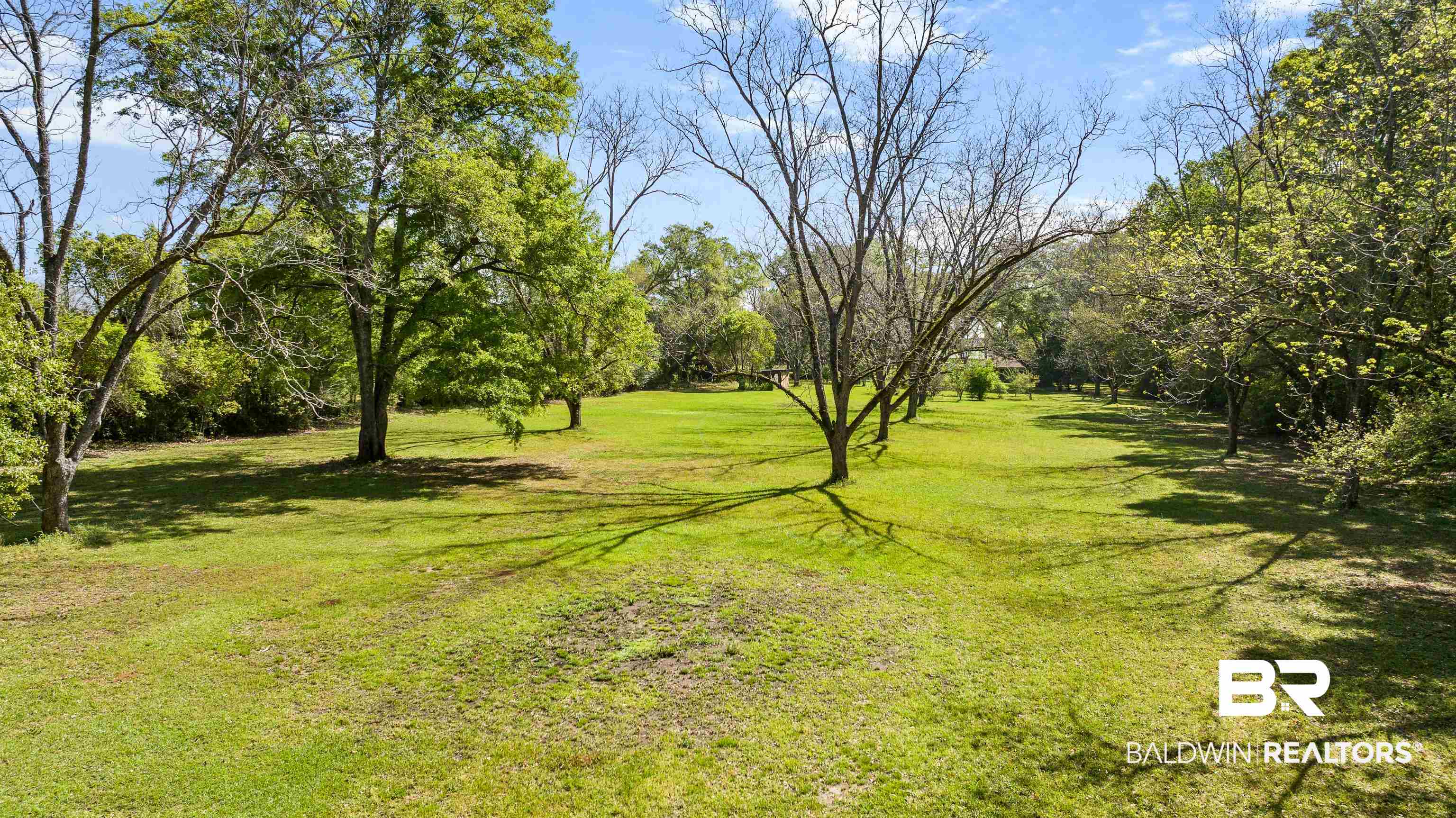 10407 LaLa Road Daphne, AL 36526 - Photo 36 of 47 Pecan Trees and Fruit Trees