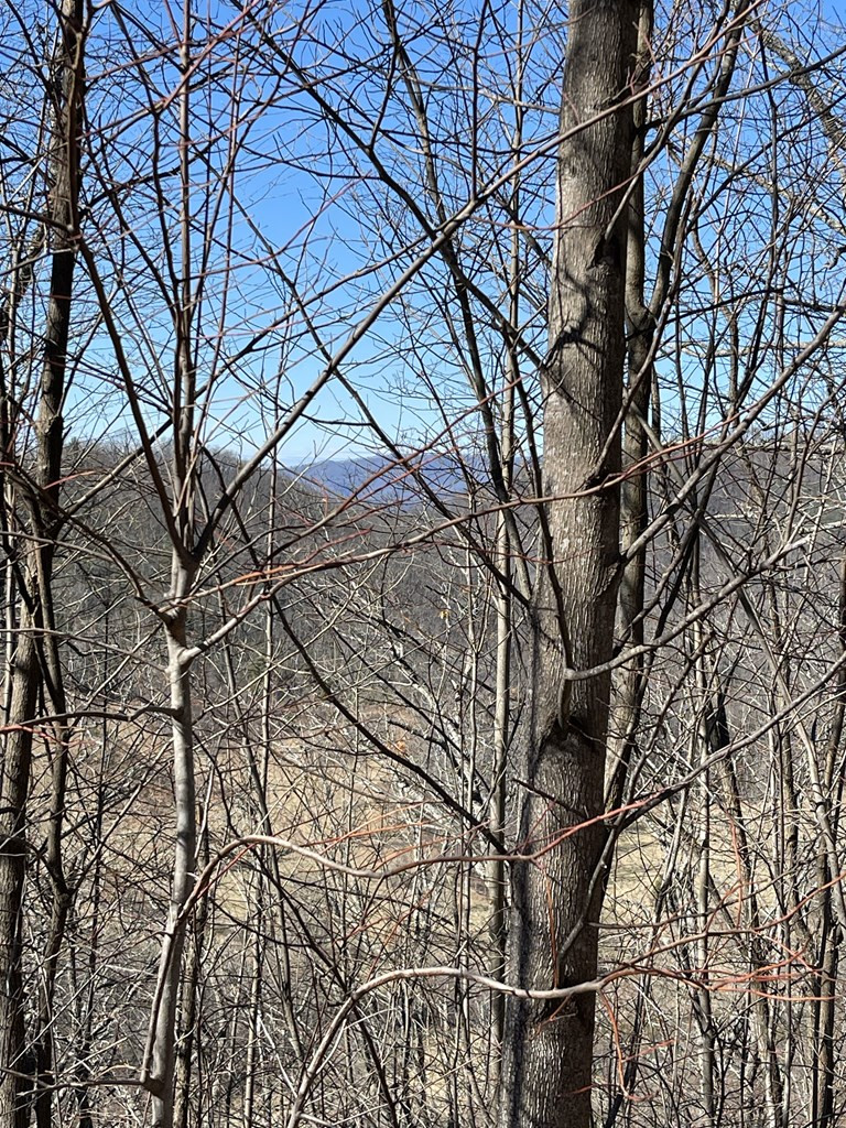 Lot 29 Ash Branch Road Hayesville, NC 28904 - Photo 3 of 5