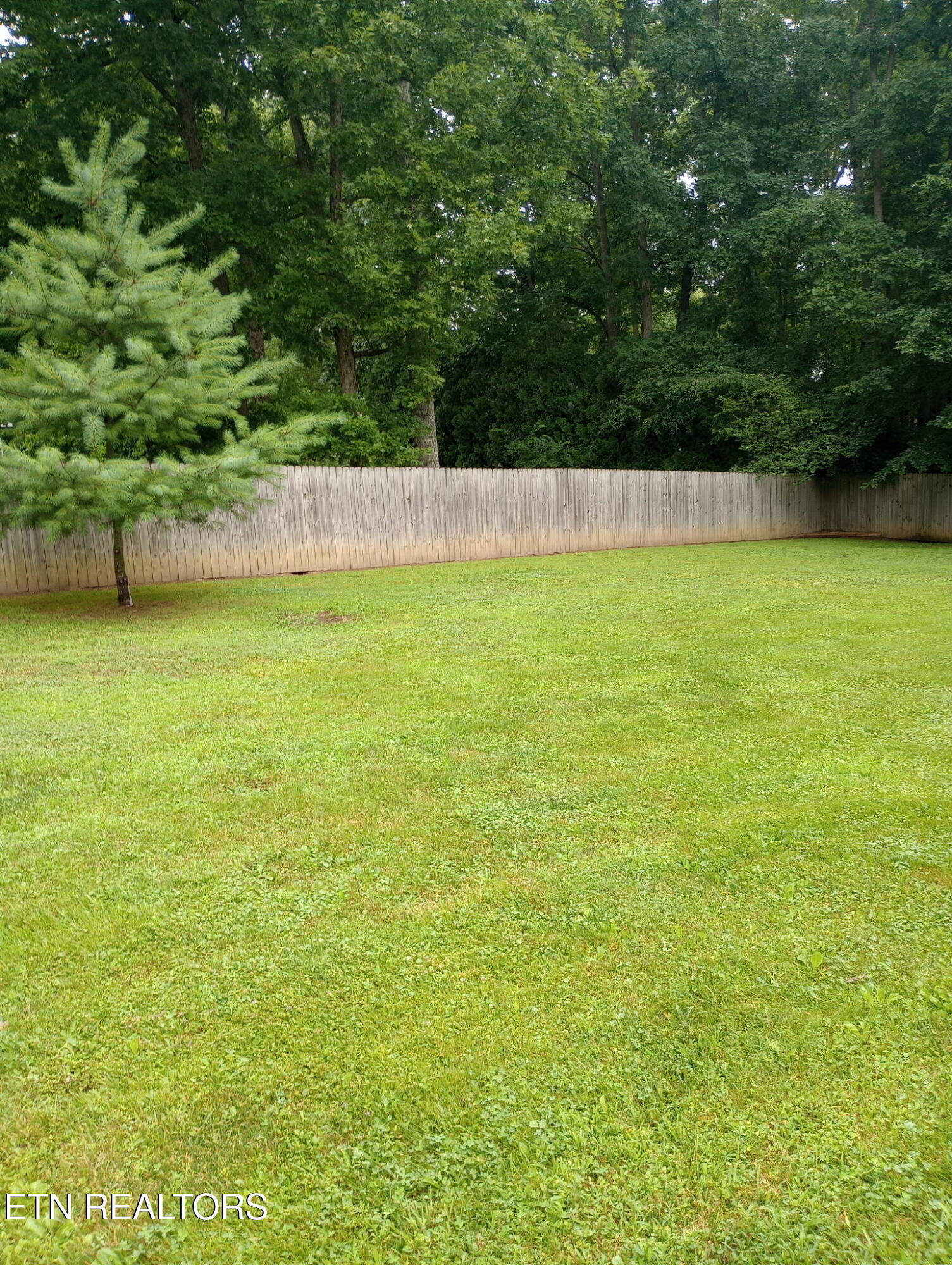 62 Cardinal Loop Crossville, TN 38555 - Photo 28 of 51 IMG_20260710_104424816
