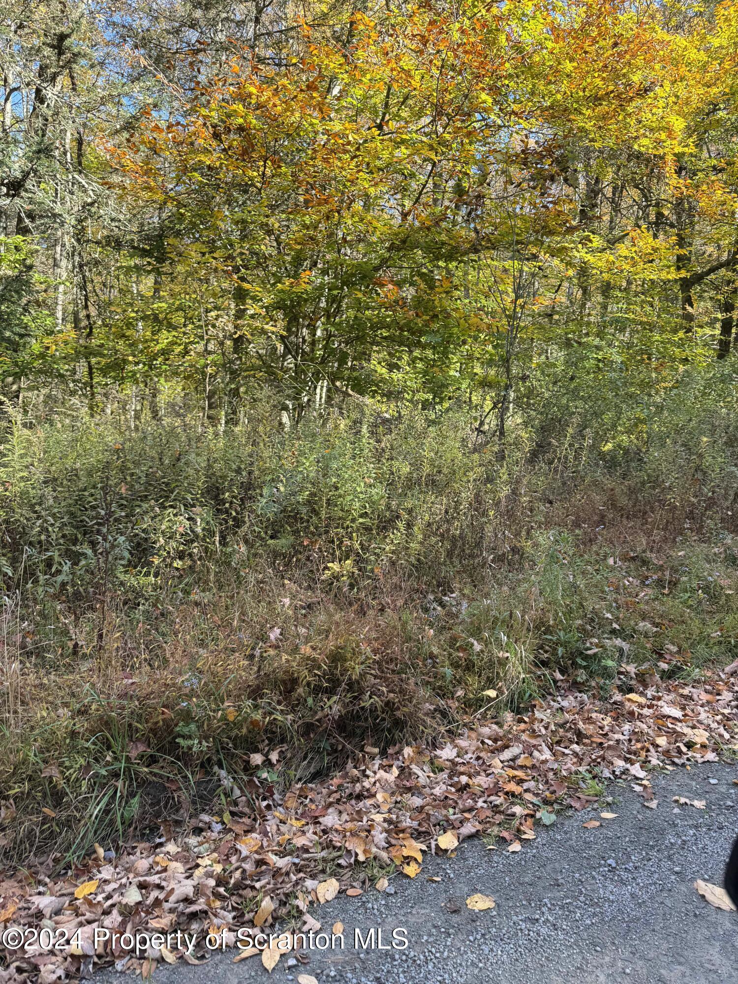 Finn Road Benton, PA 17814 - Photo 2 of 5 tempImagerwQhuc