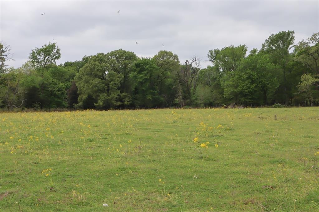 2365 County Road 2365 Alba, TX 75410 - Photo 13 of 21 a view of a lake view