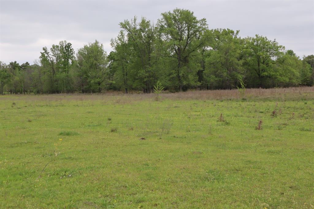 2365 County Road 2365 Alba, TX 75410 - Photo 14 of 21 a view of a field with trees