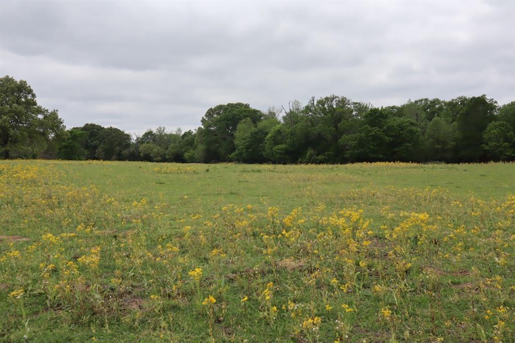 2365 County Road 2365 Alba, TX 75410 - Photo 17 of 21 a view of outdoor space and yard
