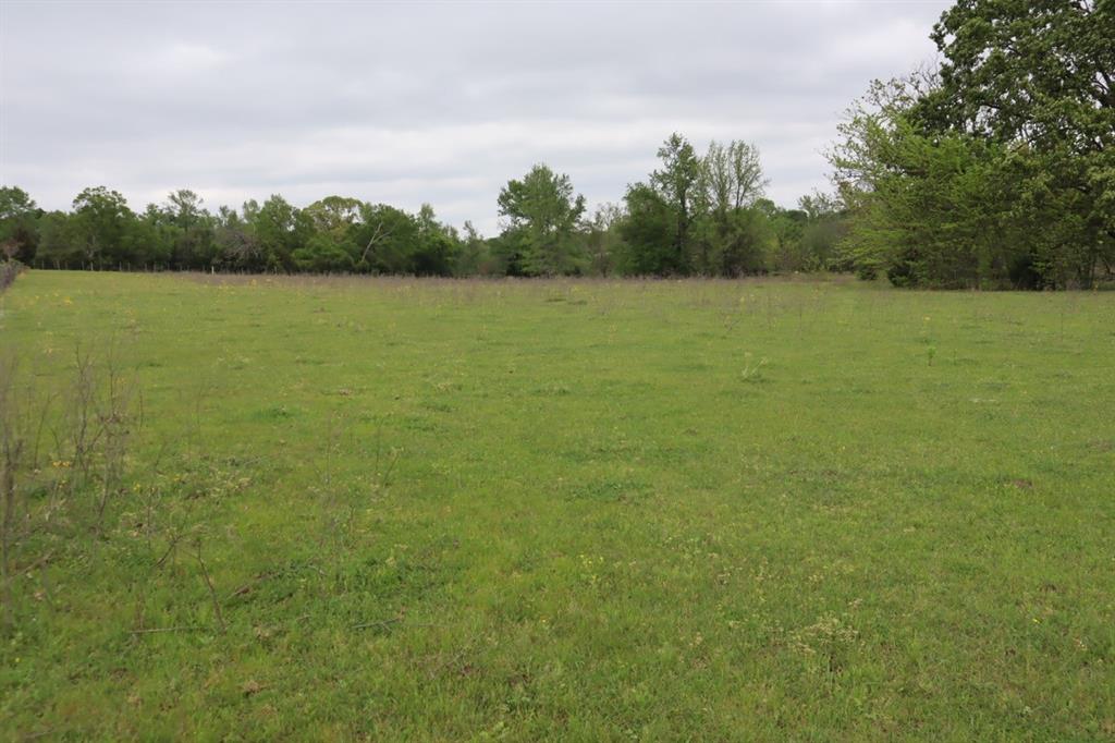 2365 County Road 2365 Alba, TX 75410 - Photo 21 of 21 a view of a lake with houses in the back