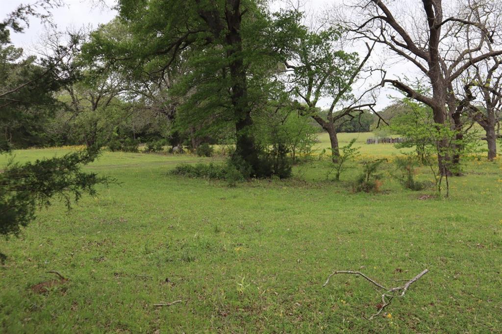 2365 County Road 2365 Alba, TX 75410 - Photo 6 of 21 a view of a field with trees