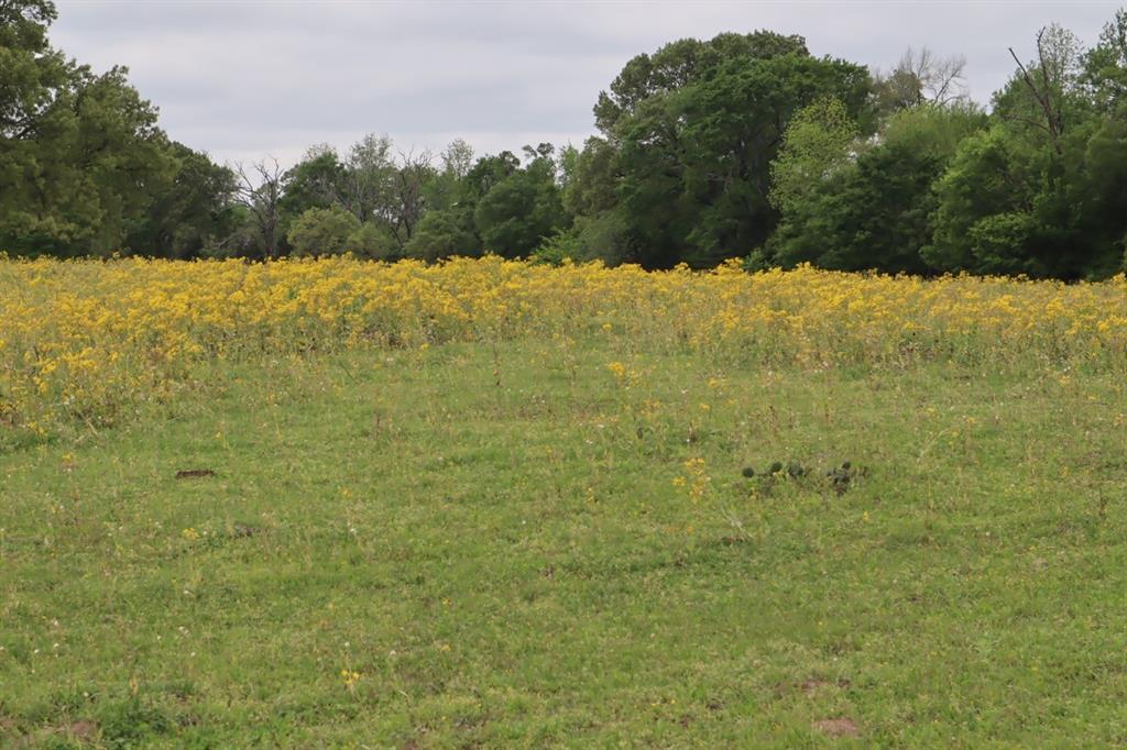 2365 County Road 2365 Alba, TX 75410 - Photo 9 of 21 a view of an ocean