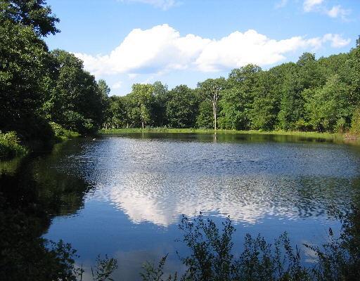 25 Mount Tom Road Washington, CT 06777 - Photo 1 of 1 a view of a lake with green space