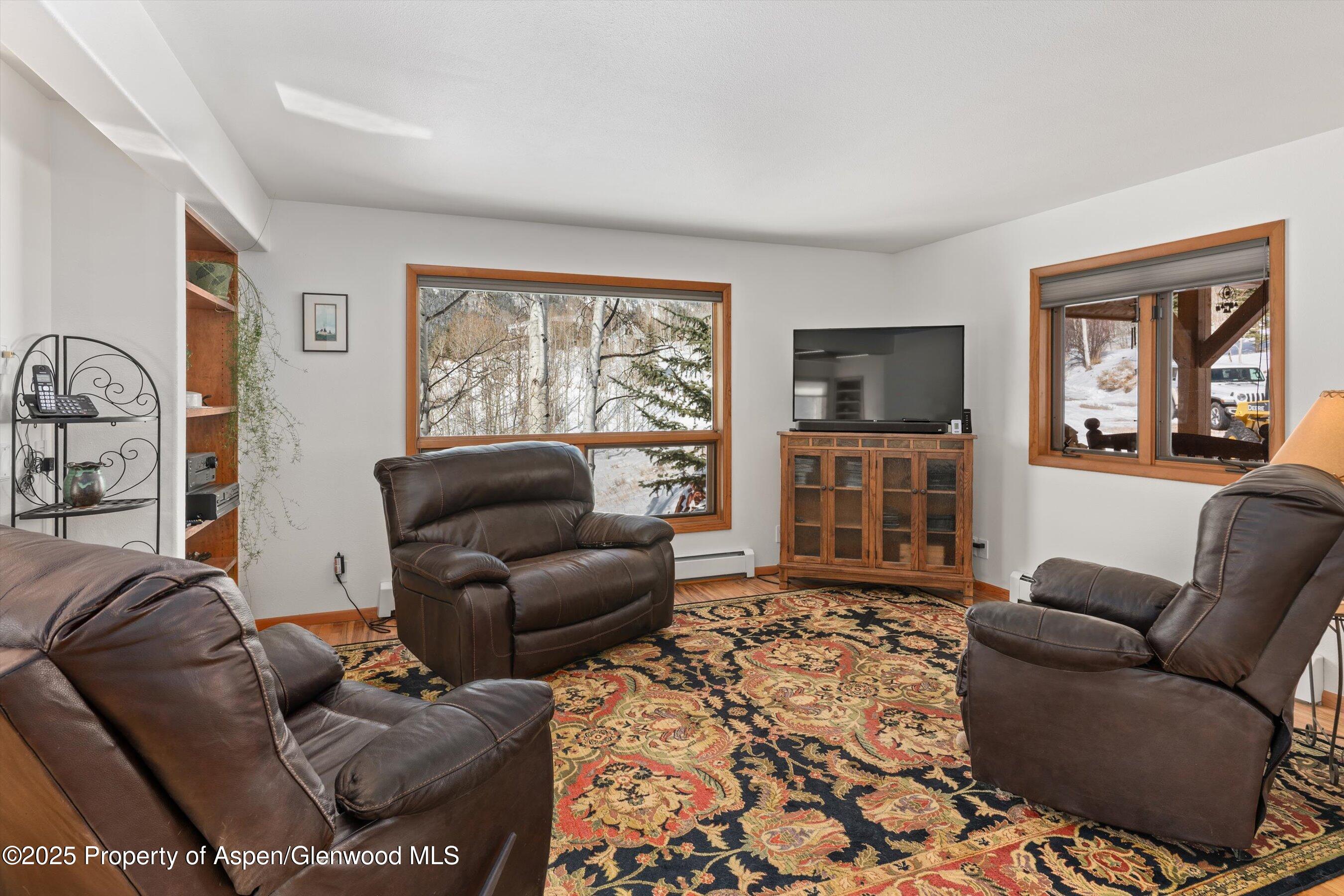 238 Hawk Lane Basalt, CO 81621 - Photo 11 of 46 a living room with furniture a flat screen tv and a window