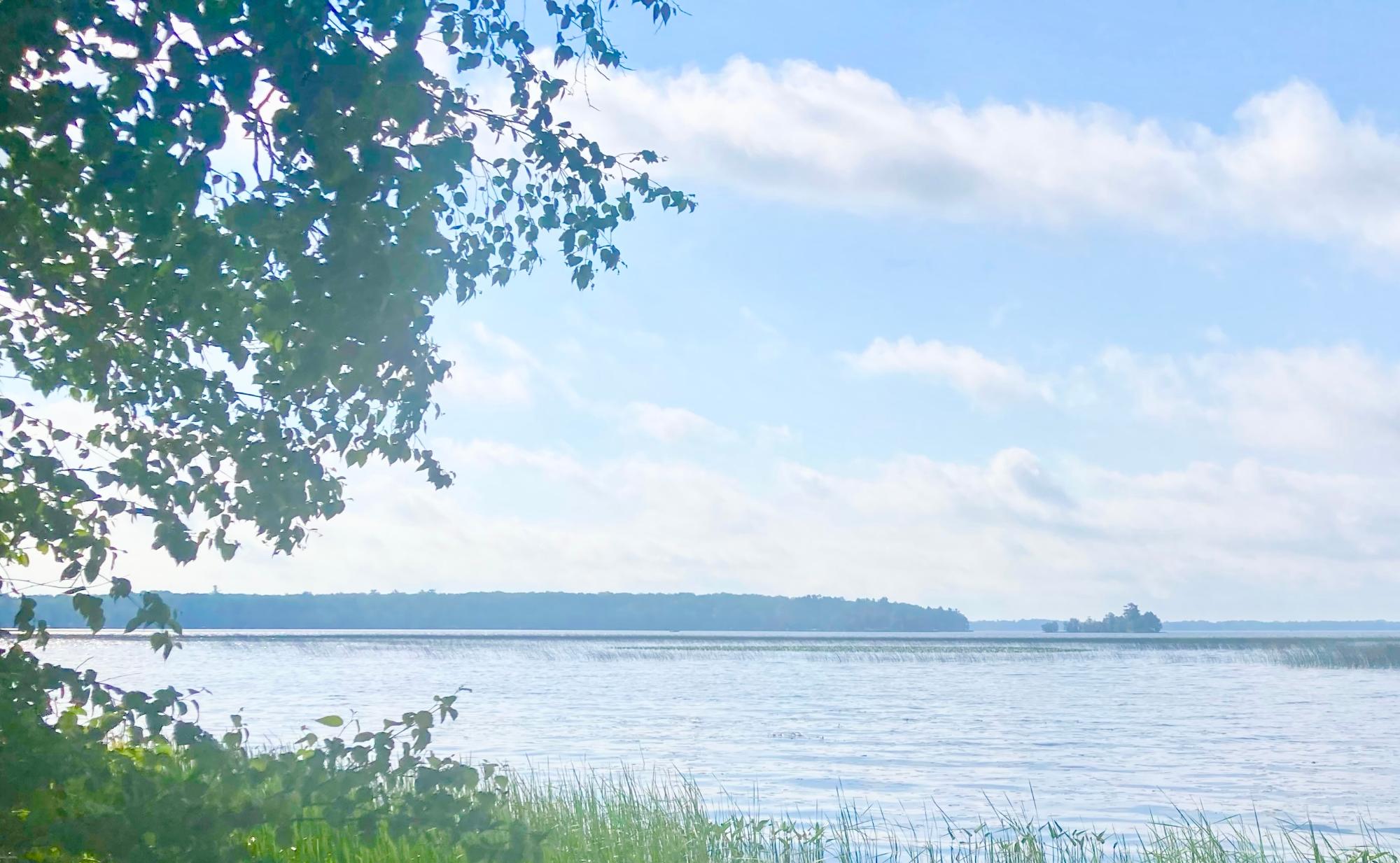 2597 Uncle Ben Road Pelican Lake, WI 54463 - Photo 19 of 31 Gallery Image 19