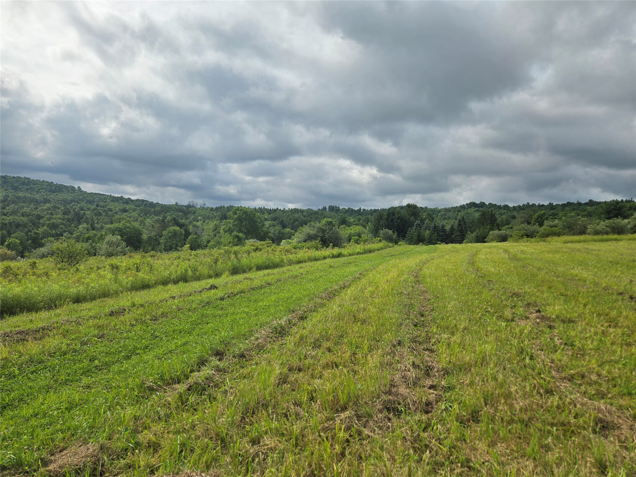143 Swift Road, Unit 3 Binghamton, NY 13905 - Photo 7 of 31 Gallery Image 7