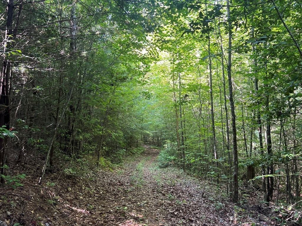 0 R J R J Mountain View Drive Murphy, NC 28906 - Photo 3 of 4