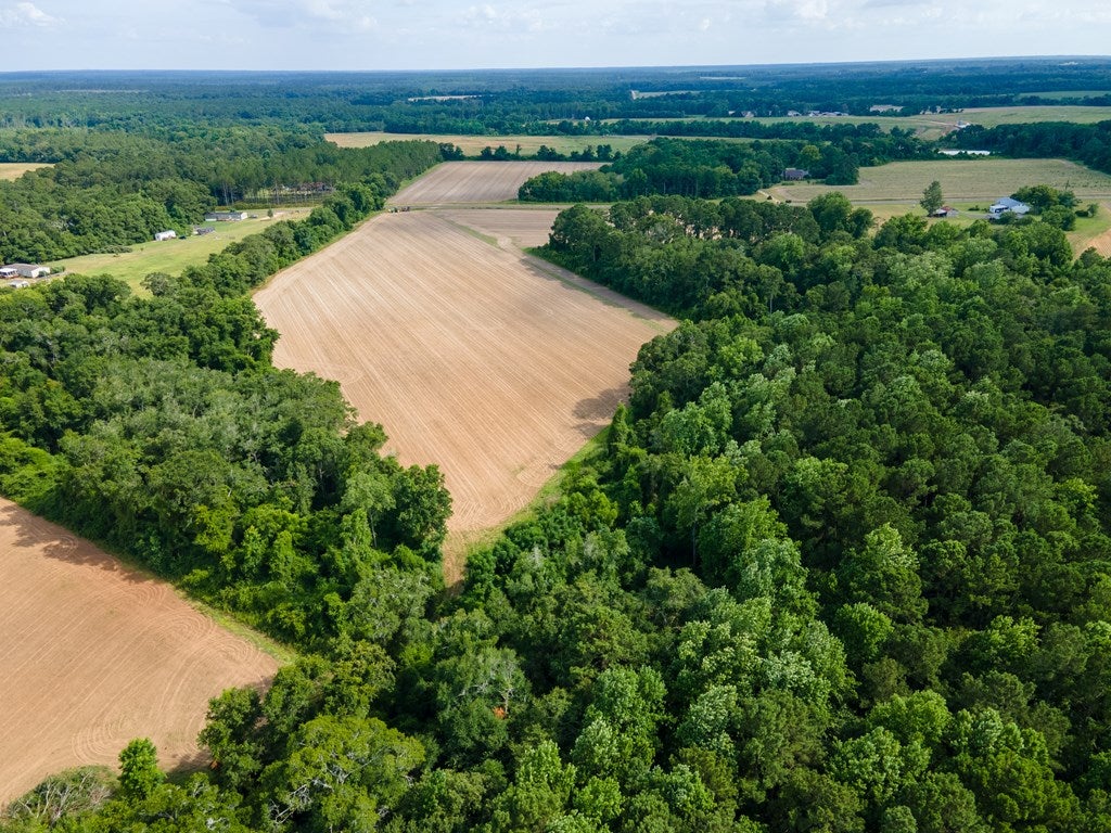 0 John Buck McCoy Road Moultrie, GA 31788 - Photo 7 of 11 Gallery Image 7