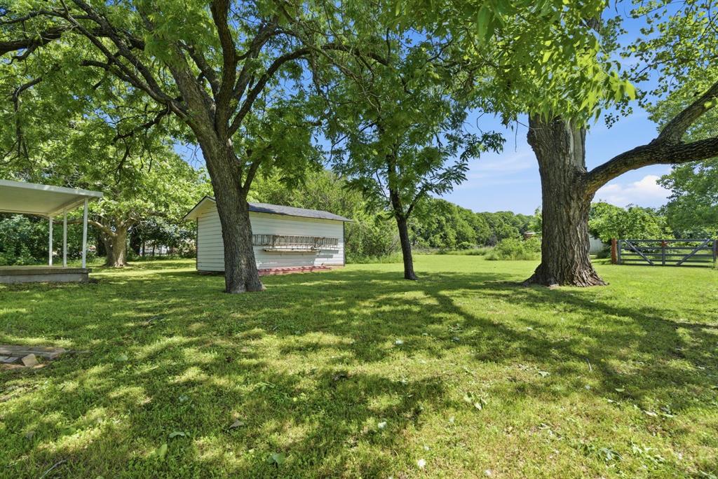 7485 Portwood Road Azle, TX 76020 - Photo 4 of 40 Expansive green lawn framed by mature trees, featuring a white detached shed with a dark roof and a covered patio area