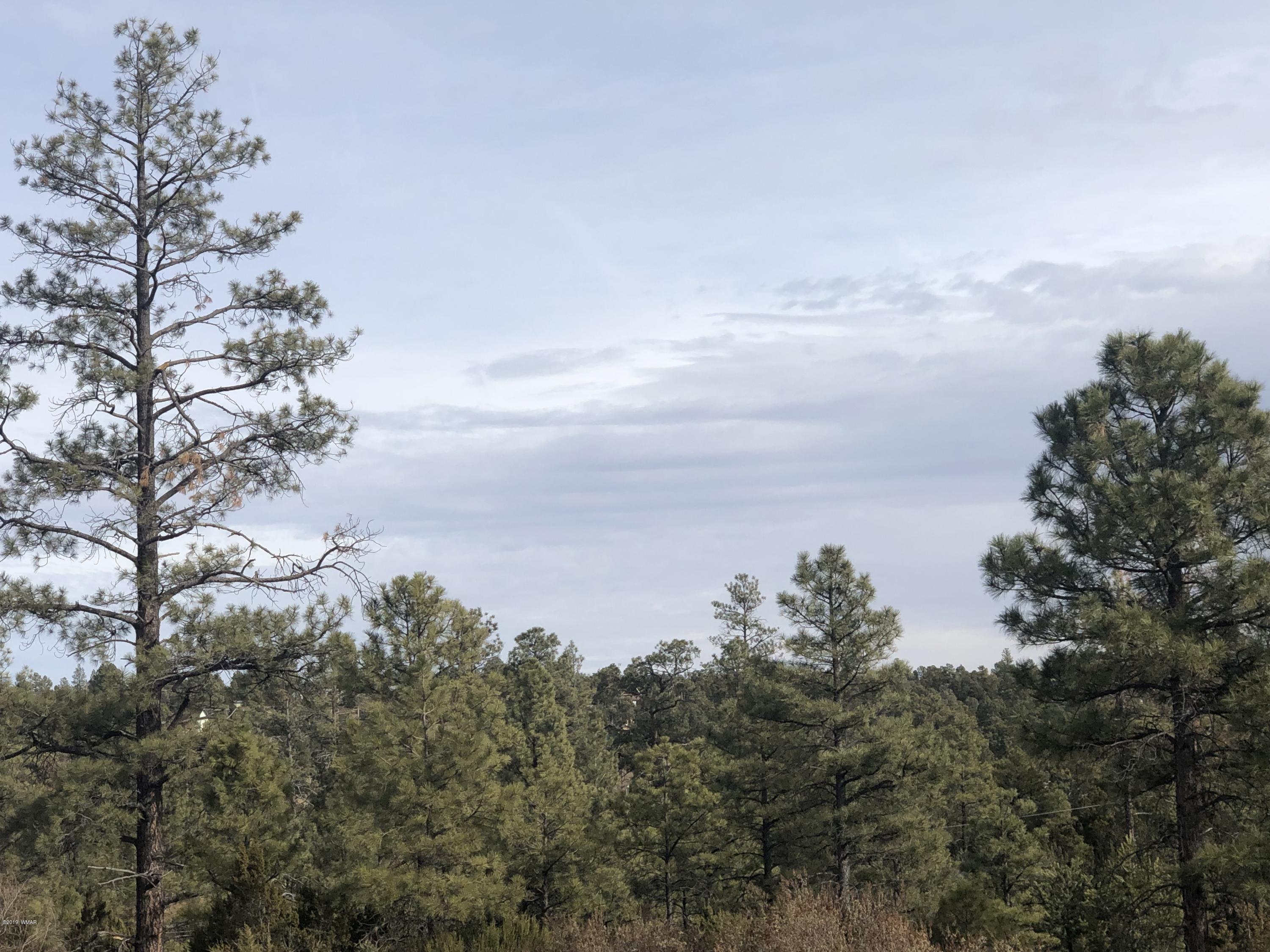 3350 Sawmill Ridge Loop Heber, AZ 85928 - Photo 1 of 5 Gallery Image 1