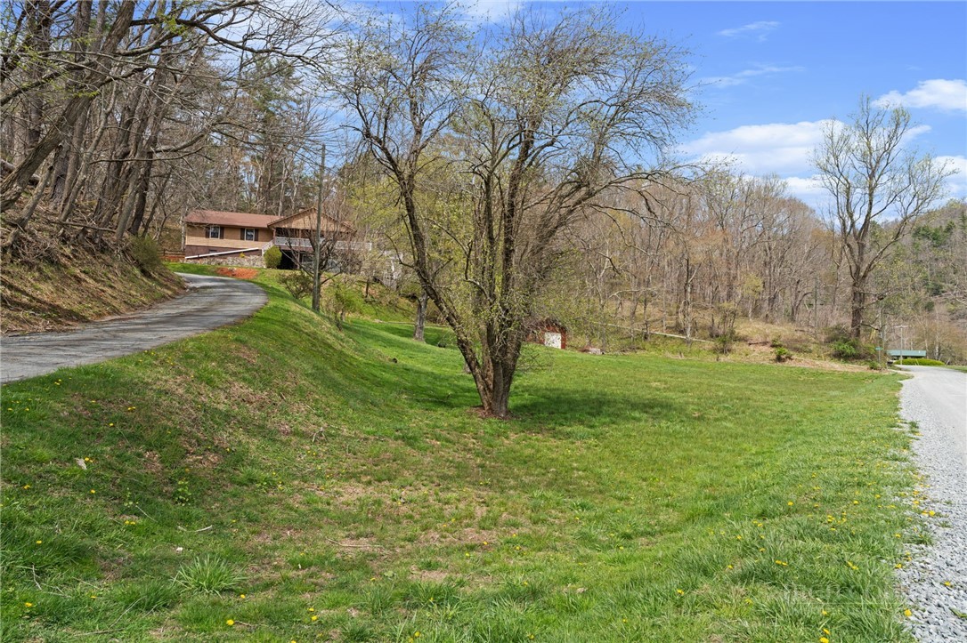 2345 Watauga River Road Sugar Grove, NC 28679 - Photo 43 of 50 a view of a park with large trees