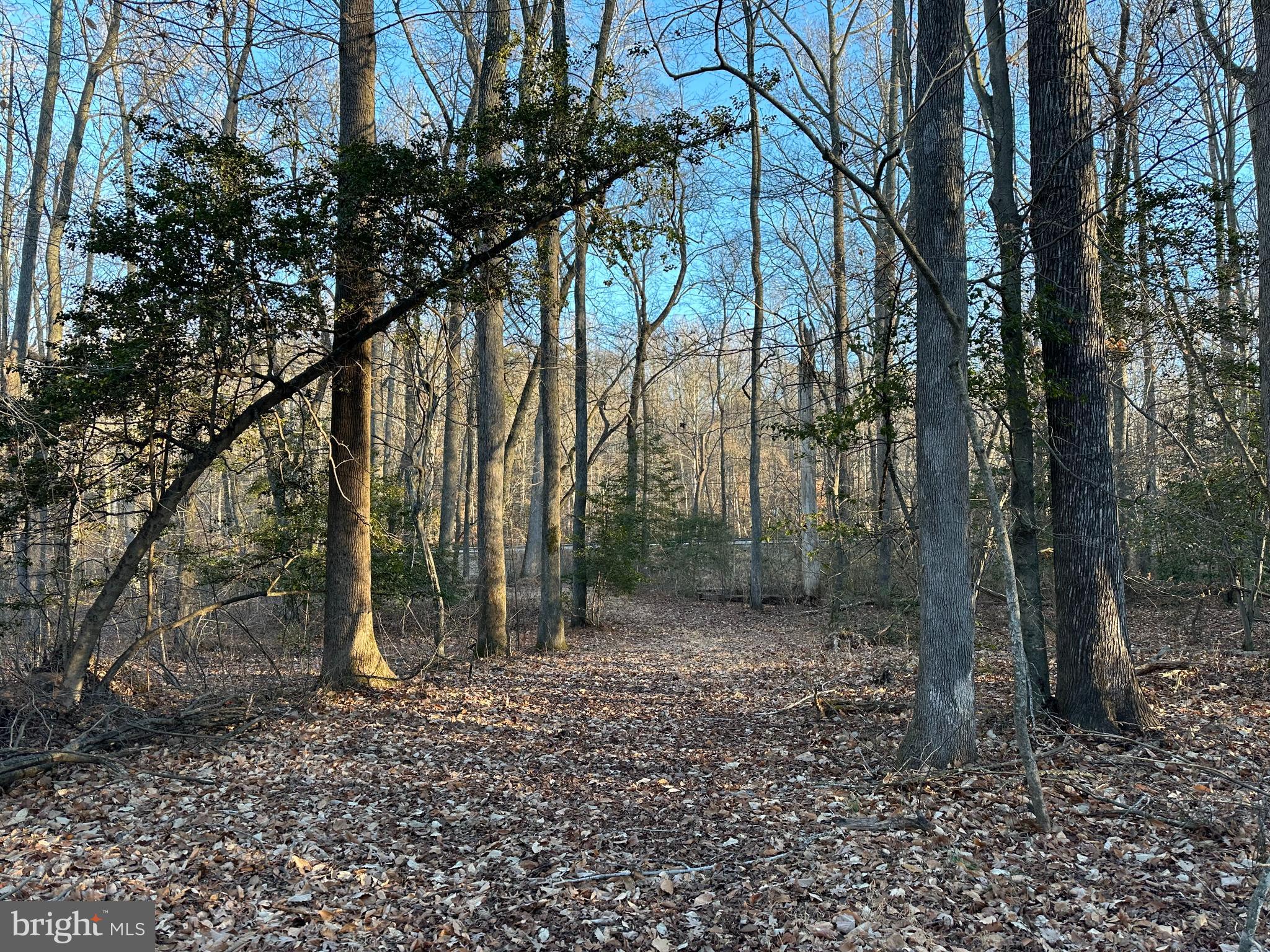 0 St Andrews Church Road Leonardtown, MD 20650 - Photo 23 of 37