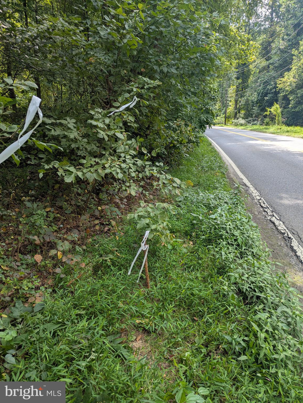 3671 Floral Park Road Brandywine, MD 20613 - Photo 4 of 7 a backyard of a house with lots of green space