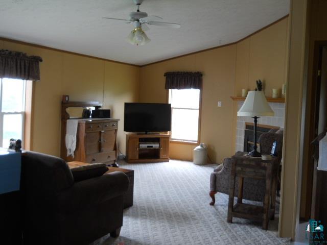 189 Hatinen Road Esko, MN 55733 - Photo 11 of 23 Gallery Image 11