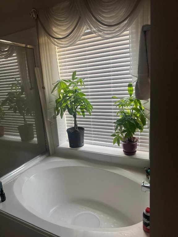 11126 Riverbank Ridge Lane Houston, TX 77089 - Photo 8 of 8 a potted plant sitting on a window sill and a sink