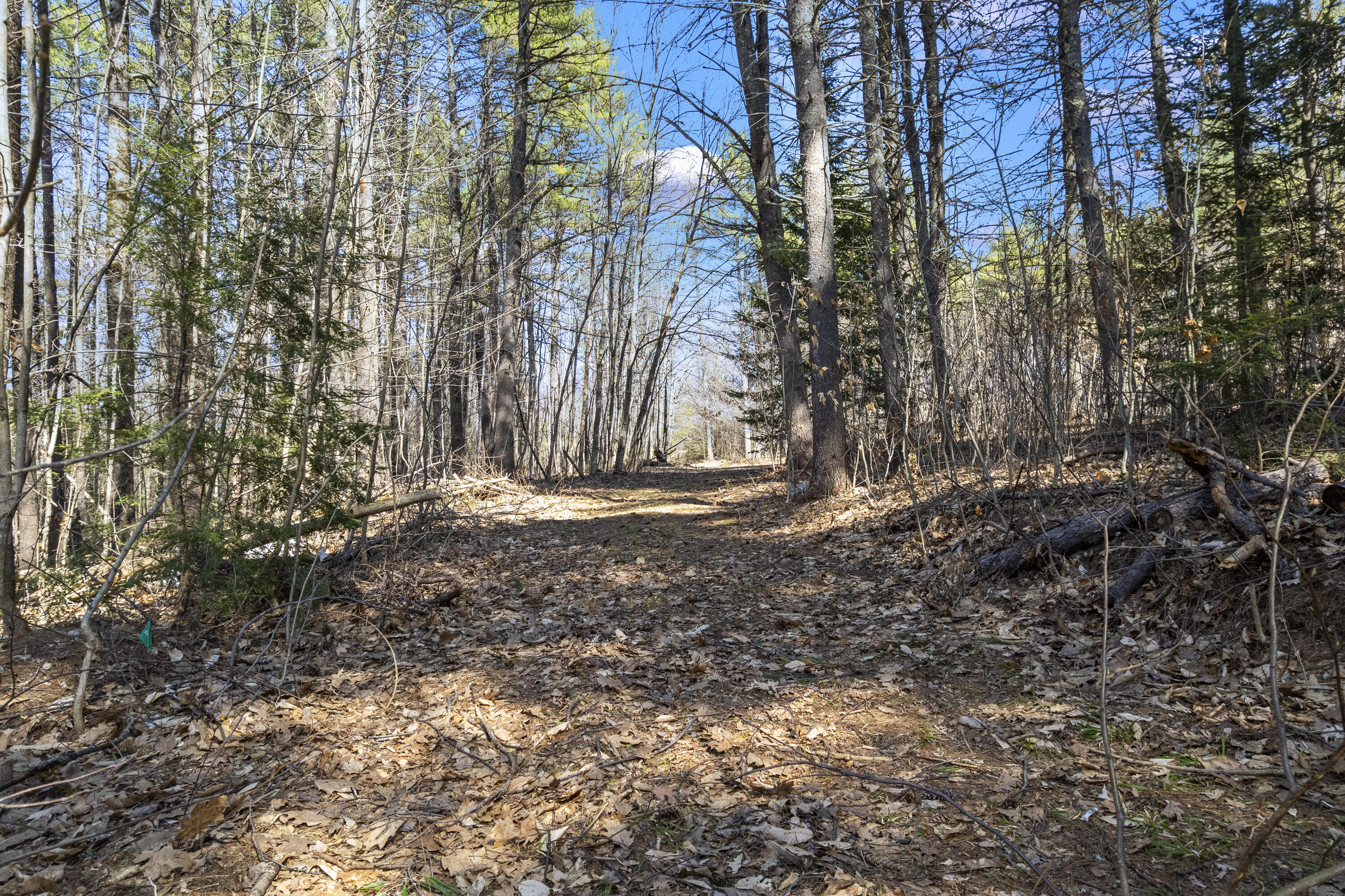 2 Mona Road Limington, ME 04049 - Photo 56 of 58 2 Mona Rd_163