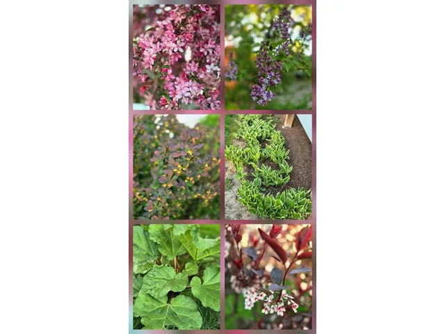 $469,900 | 803 Centennial Parkway, Waunakee, WI 53597