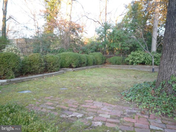 7207 Fort Hunt Road Alexandria, VA 22307 - Photo 3 of 15 a view of outdoor space with trees all around