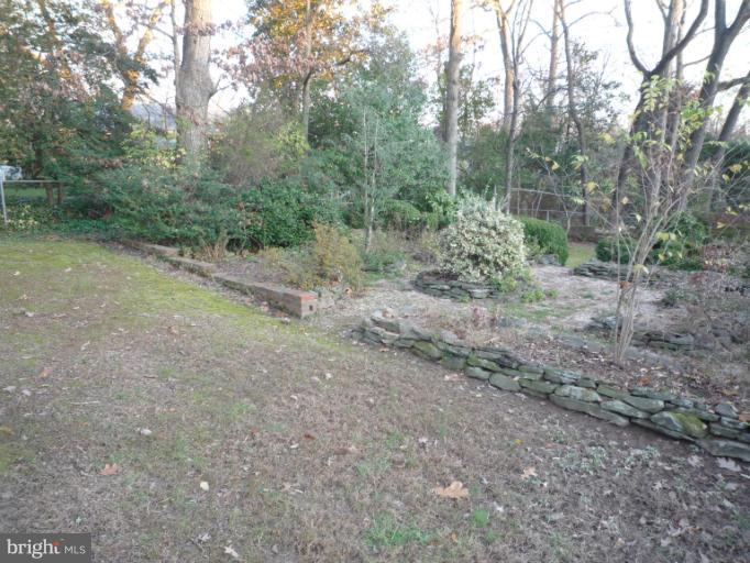7207 Fort Hunt Road Alexandria, VA 22307 - Photo 4 of 15 a view of a forest with trees in the background