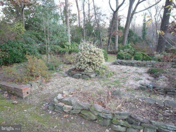 7207 Fort Hunt Road Alexandria, VA 22307 - Photo 5 of 15 a view of a forest with trees in the background
