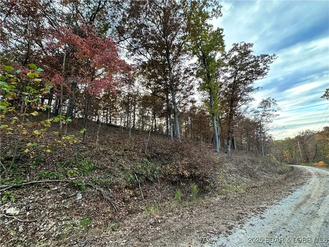 $9,900 | Lot 1278 Ken Drive, Edwards, MO 65326