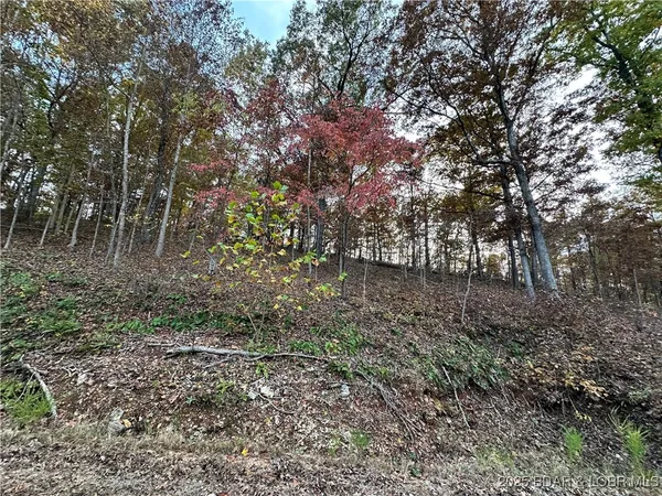 $8,000 | Lot 1278 Ken Drive, Edwards, MO 65326