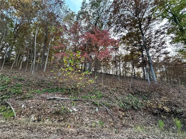 $9,900 | Lot 1278 Ken Drive, Edwards, MO 65326