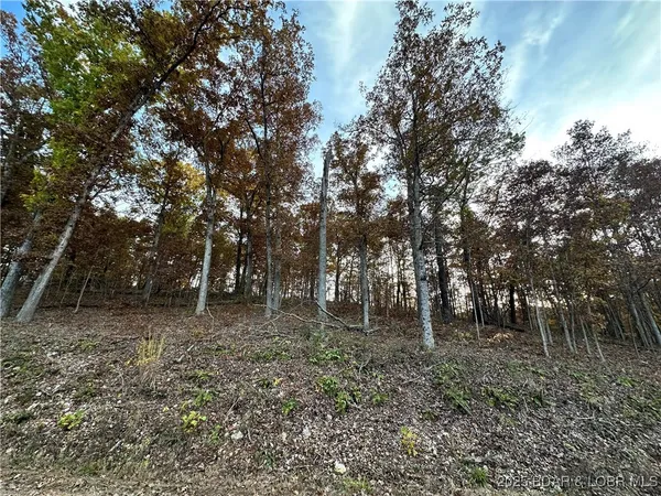 $8,000 | Lot 1278 Ken Drive, Edwards, MO 65326