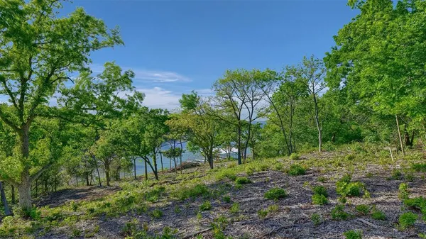 a green field with lots of trees in it