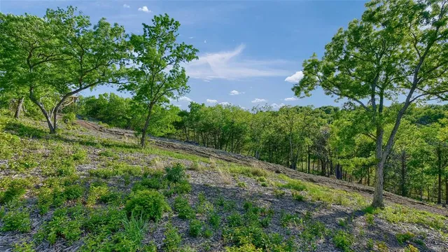 a big yard with lots of green space